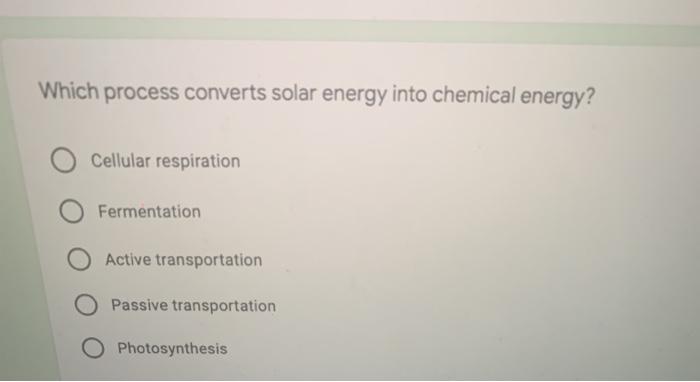 Which Cellular Process Converts Solar Energy Into Chemical Energy?